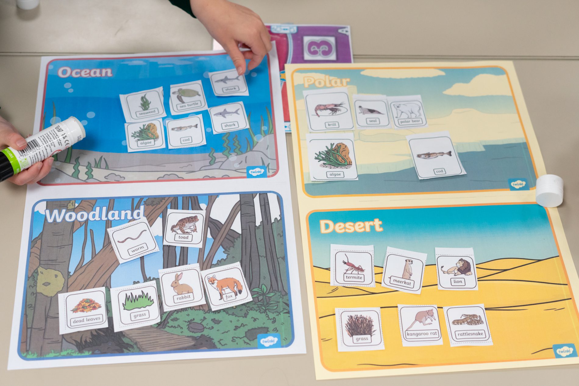 Stone-St-Marys-Curriculum-19