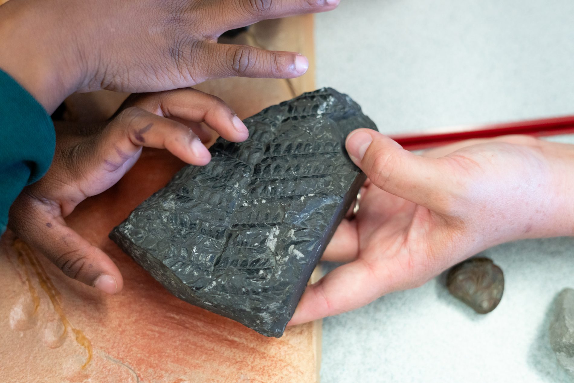 Stone-St-Marys-Curriculum-78