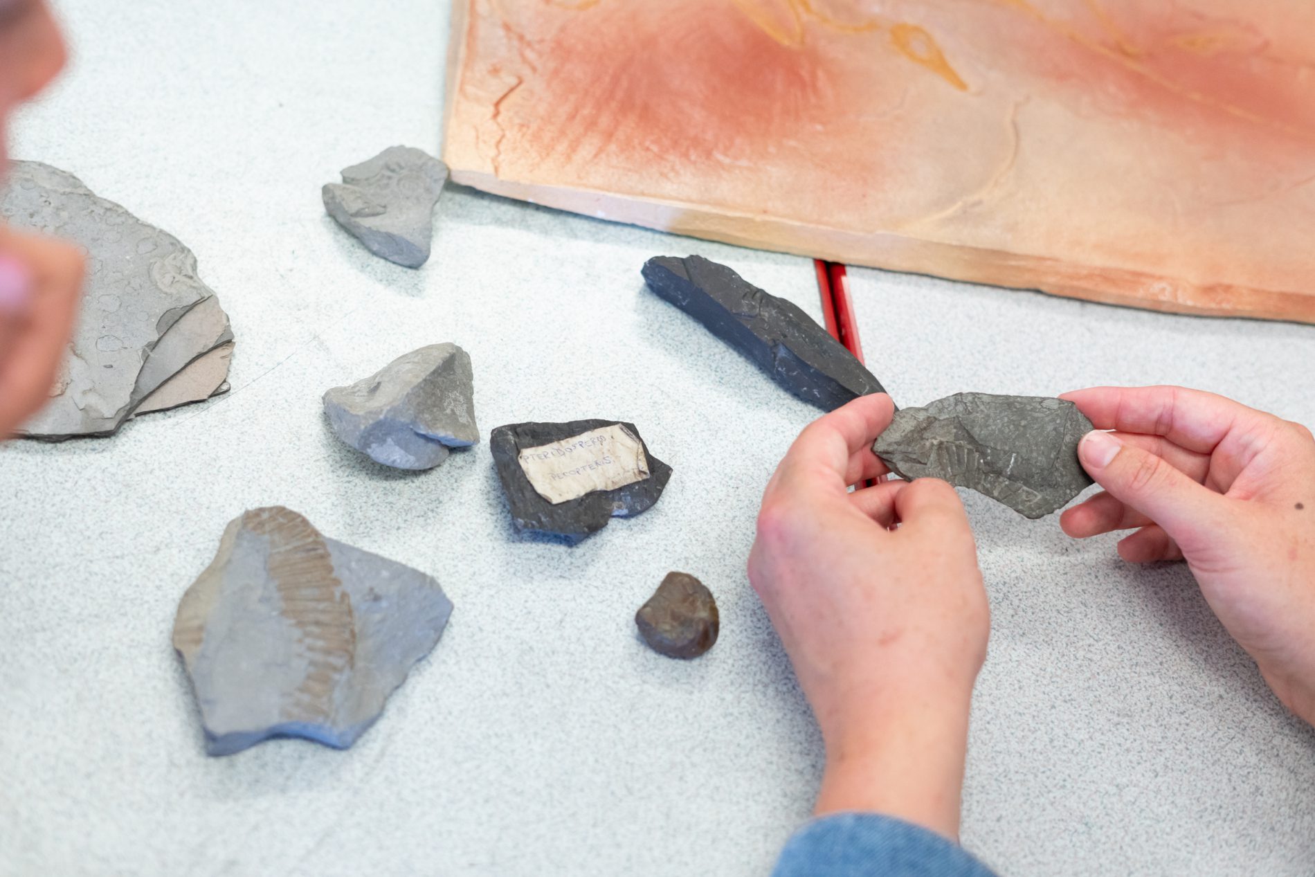 Stone-St-Marys-Curriculum-85